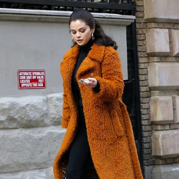 NWT Fauna Coat Rust ASTR The Label $188 Nordstrom - Picture 14 of 14